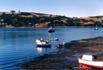 Dalcahue04